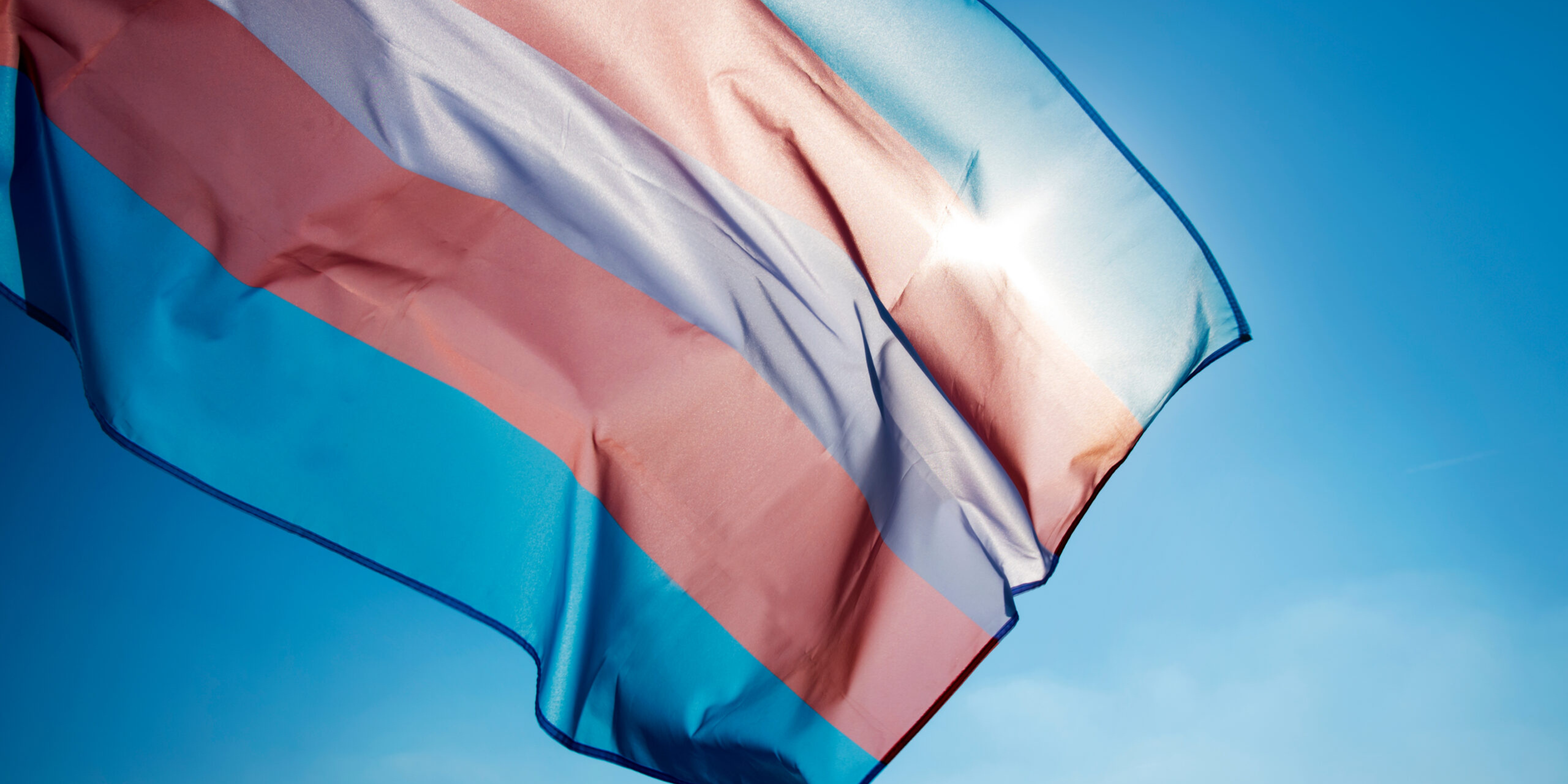 Transgender flag